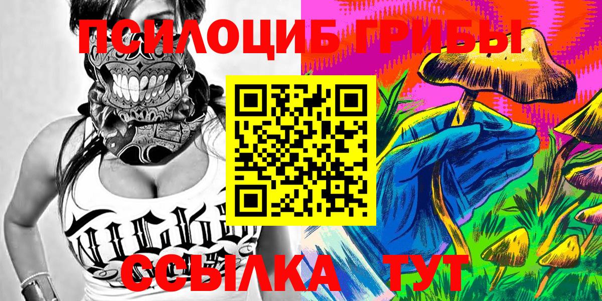 Галлюциногенные грибы MAGIC MUSHROOMS  Вход с VPN  Торжок 