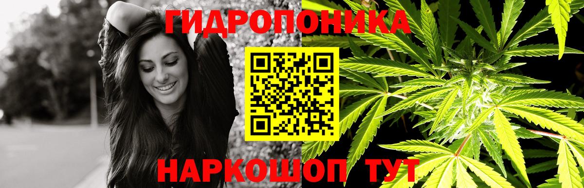 Бошки Шишки AK-47  Вход с VPN  МАРИХУАНА гибрид  Торжок 